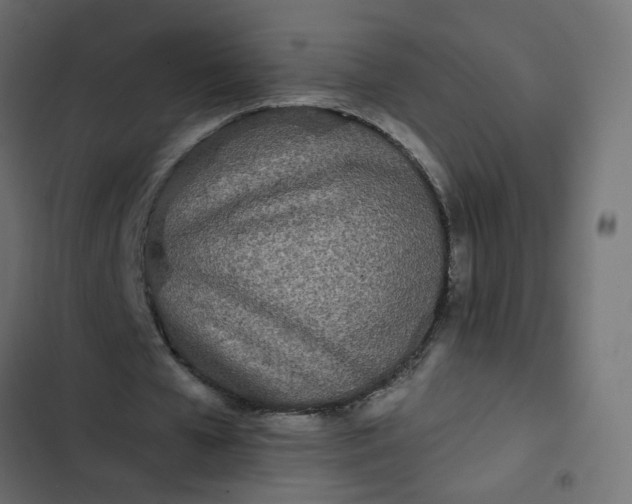 X0000102830577200809021316