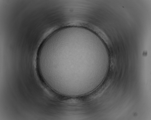 X0000102830578200809021315