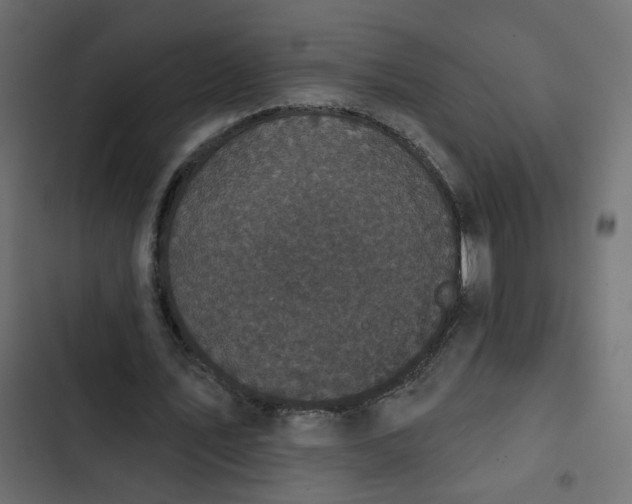 X0000102830579200809021315