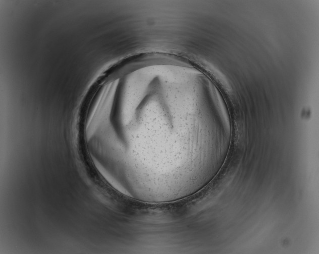 X0000102830580200809021315