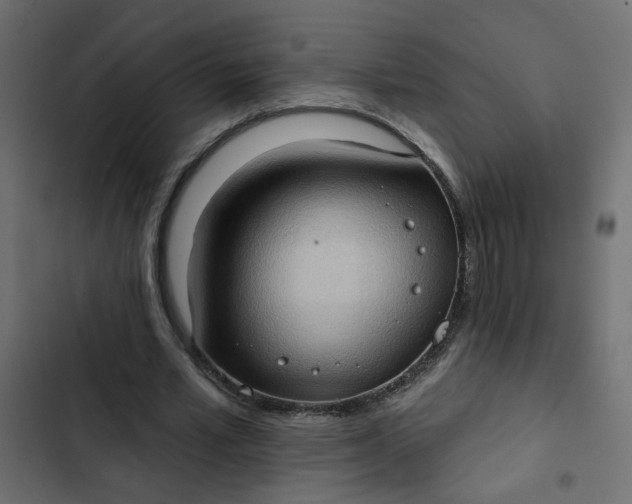 X0000102830581200809021315