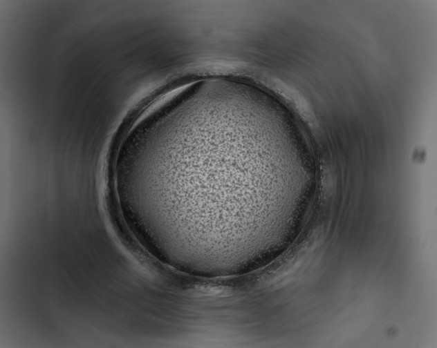 X0000102830582200809021315