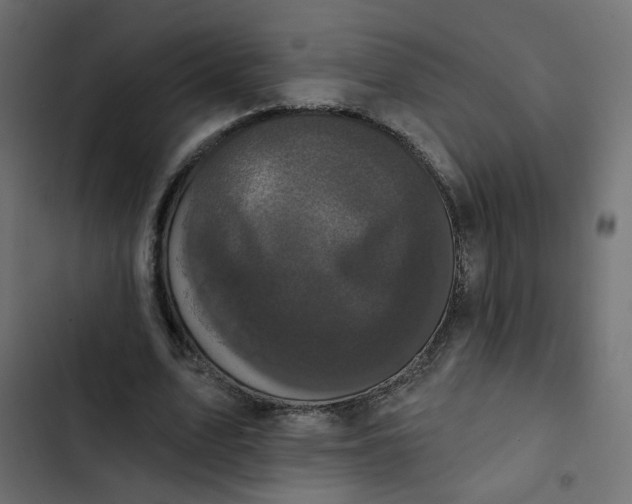 X0000102830583200809021315