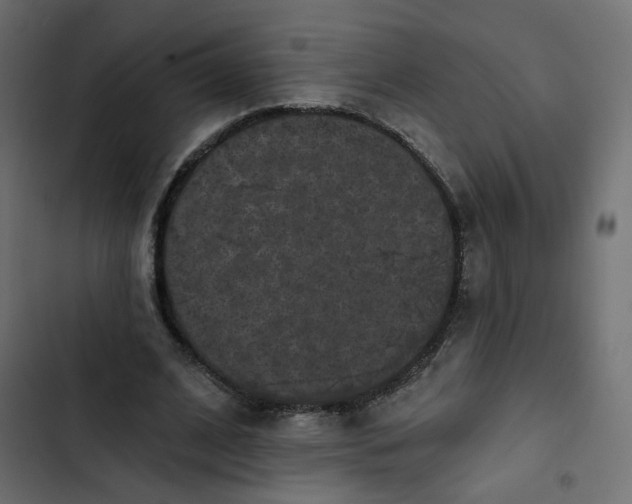 X0000102830584200809021315