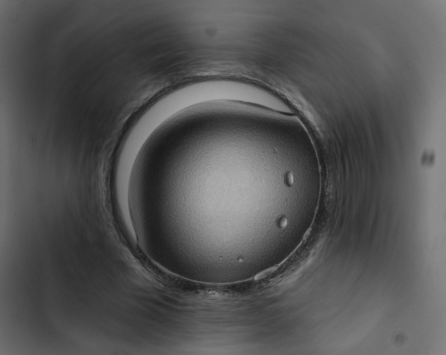 X0000102830585200809021315