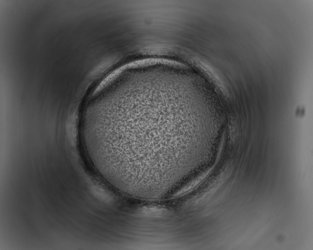 X0000102830586200809021315