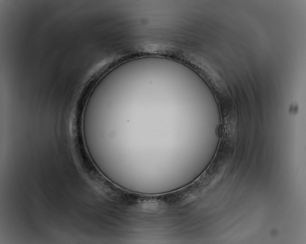 X0000102830587200809021315