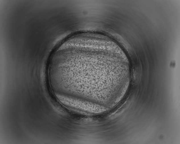 X0000102830588200809021315