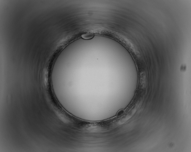 X0000102830589200809021315