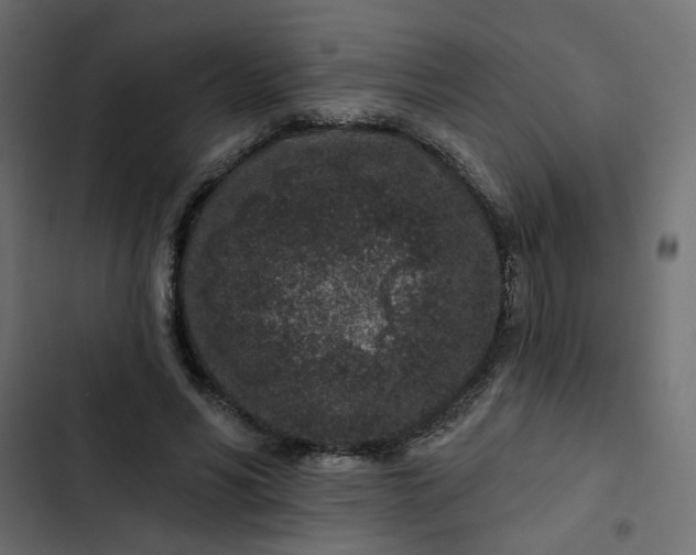 X0000102830590200809021315