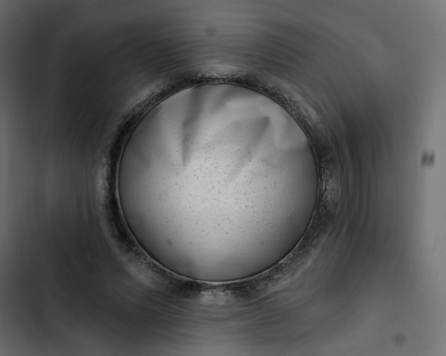 X0000102830591200809021315