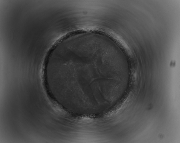 X0000102830592200809021315