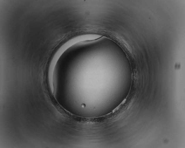 X0000102830593200809021315