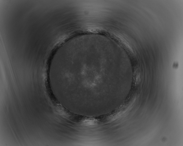 X0000102830595200809021315