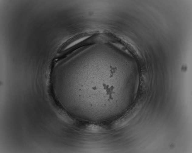 X0000102830596200809021315