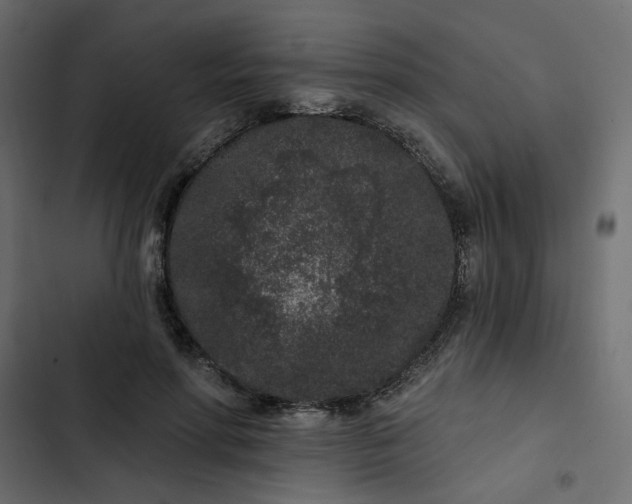 X0000102830598200809021315