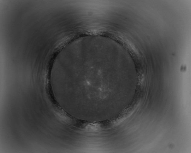 X0000102830599200809021315