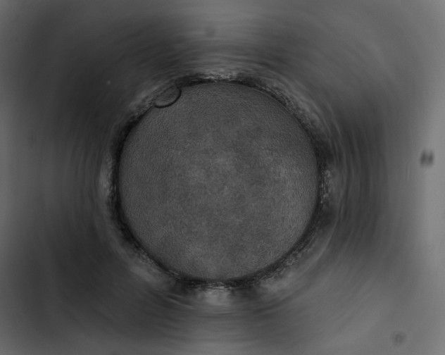 X0000102830600200809021315