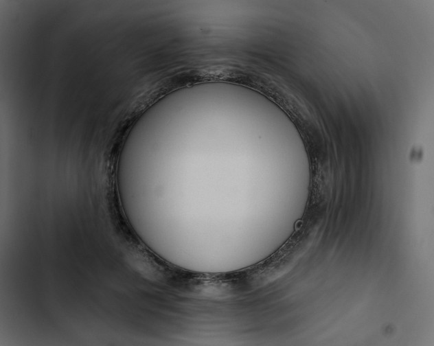 X0000102830601200809021315