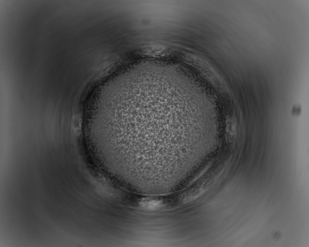 X0000102830602200809021315