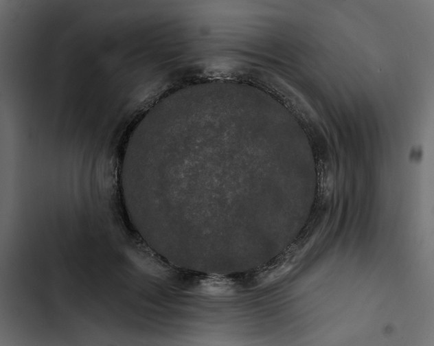 X0000102830603200809021315