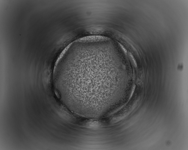 X0000102830604200809021315