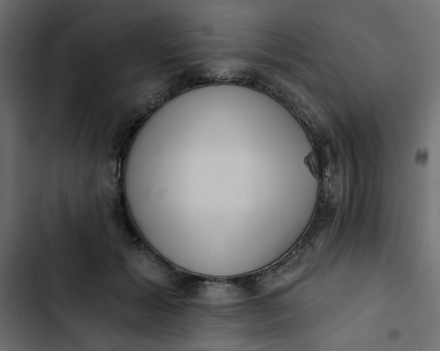 X0000102830605200809021315