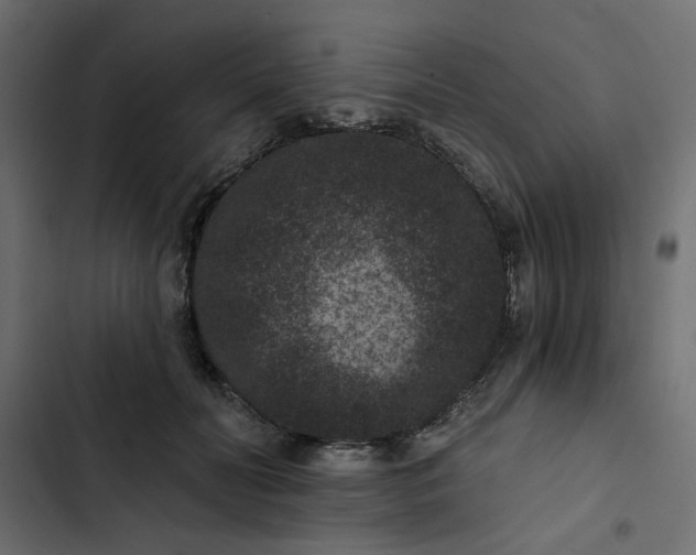 X0000102830606200809021315