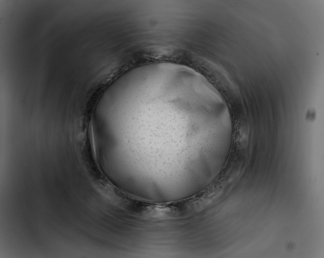 X0000102830607200809021315