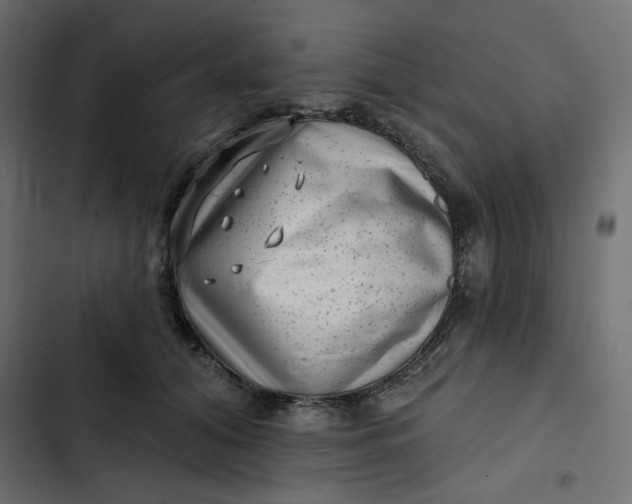 X0000102830608200809021315