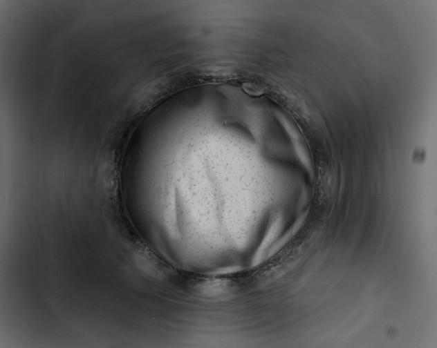 X0000102830609200809021315