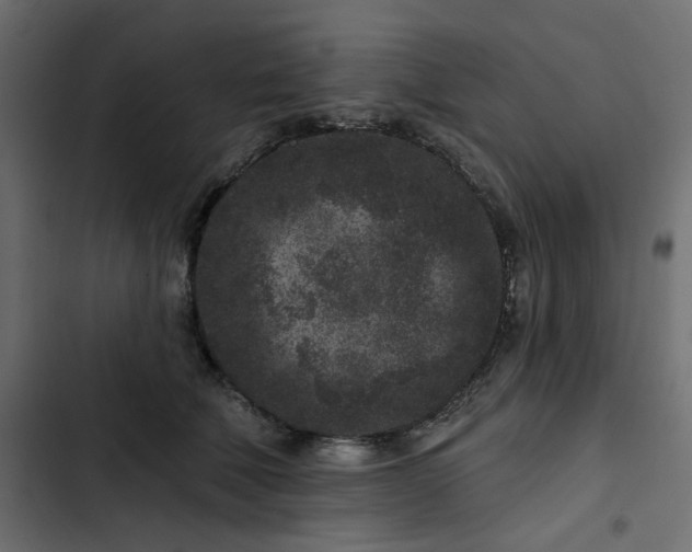 X0000102830610200809021315