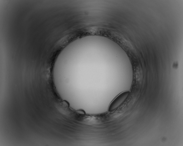 X0000102830611200809021315