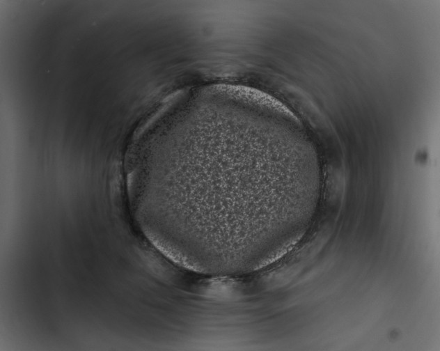 X0000102830612200809021315