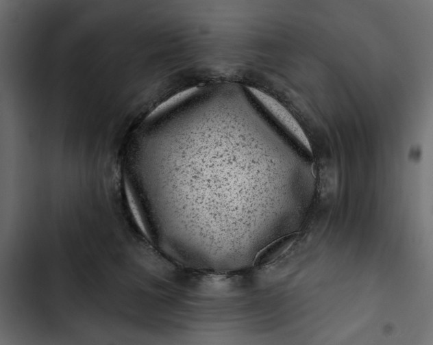 X0000102830613200809021315