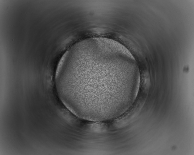 X0000102830615200809021315