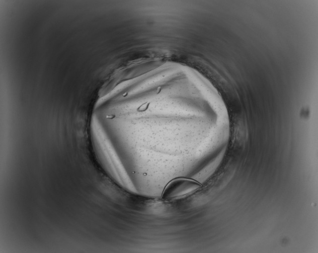 X0000102830616200809021315