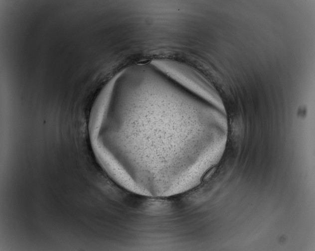 X0000102830617200809021315