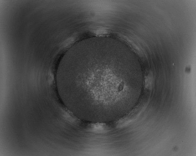 X0000102830618200809021315