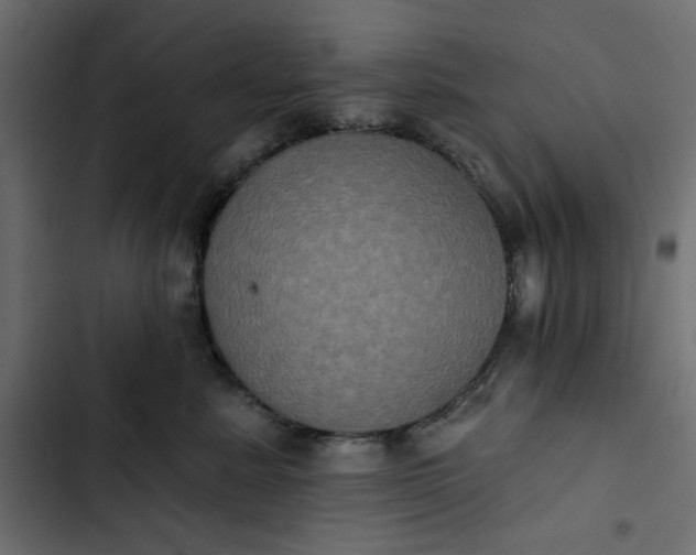 X0000102830619200809021315