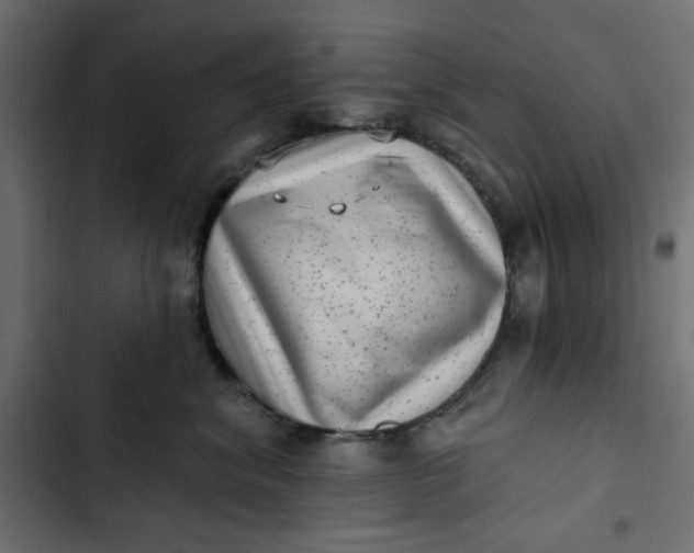 X0000102830620200809021315