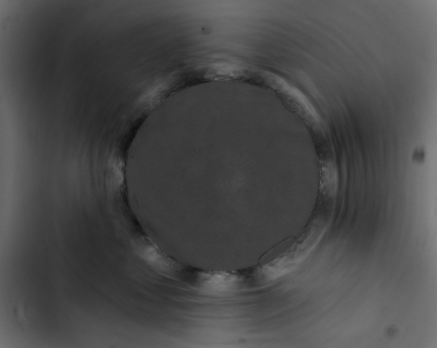 X0000102830621200809021315