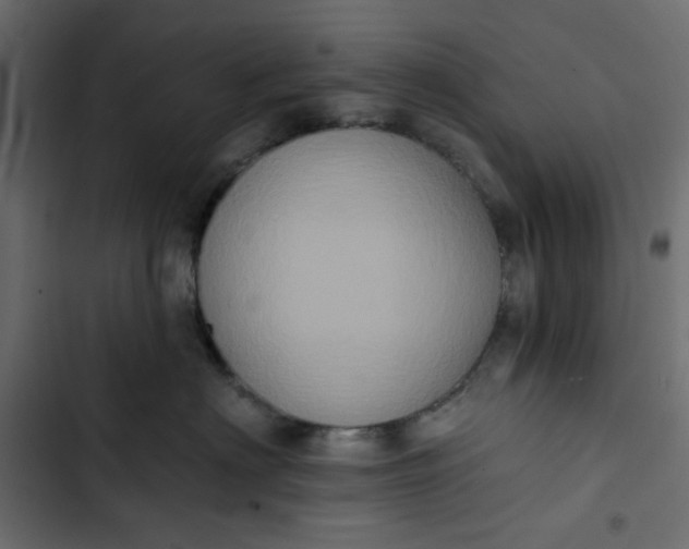 X0000102830622200809021315