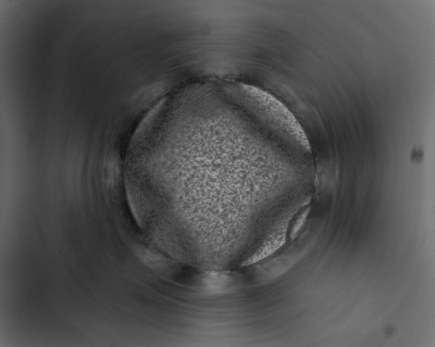 X0000102830623200809021315