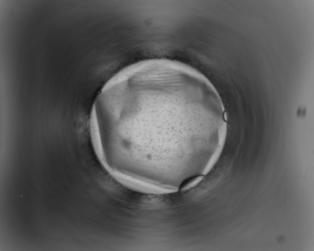 X0000102830624200809021315