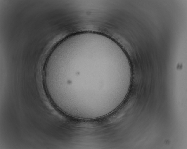 X0000102830625200809021314