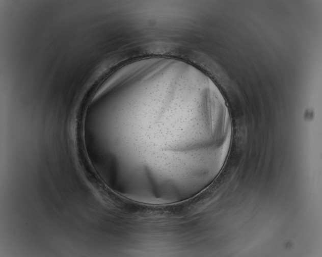 X0000102830626200809021314