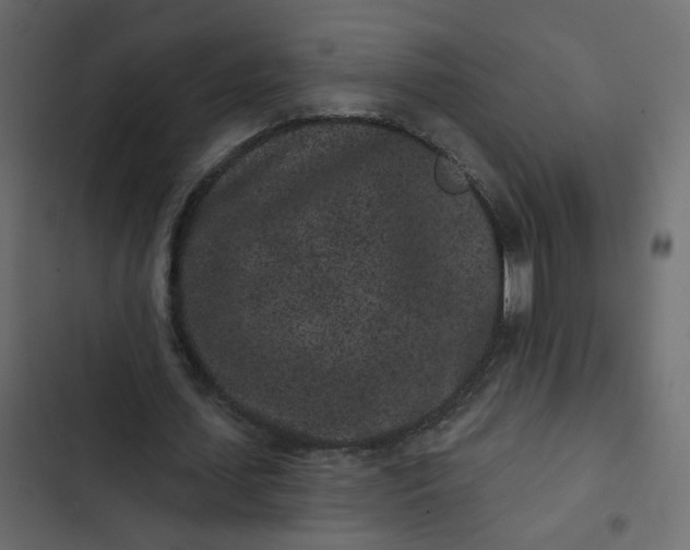 X0000102830627200809021314