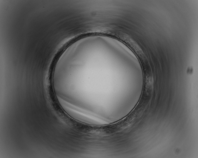 X0000102830628200809021314