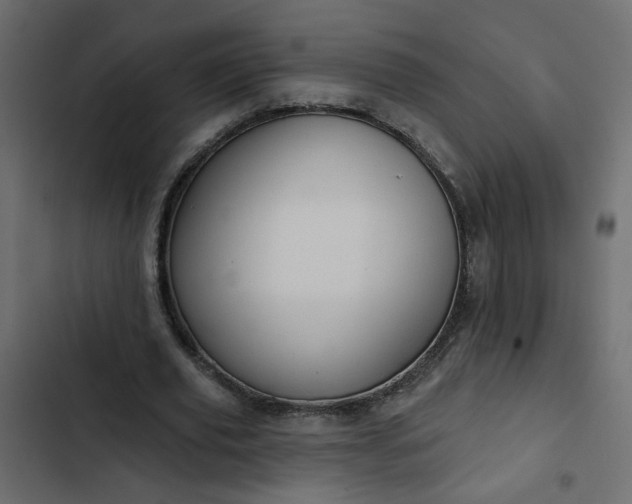 X0000102830629200809021314